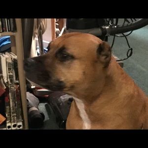 Meet your Posher, Georgette